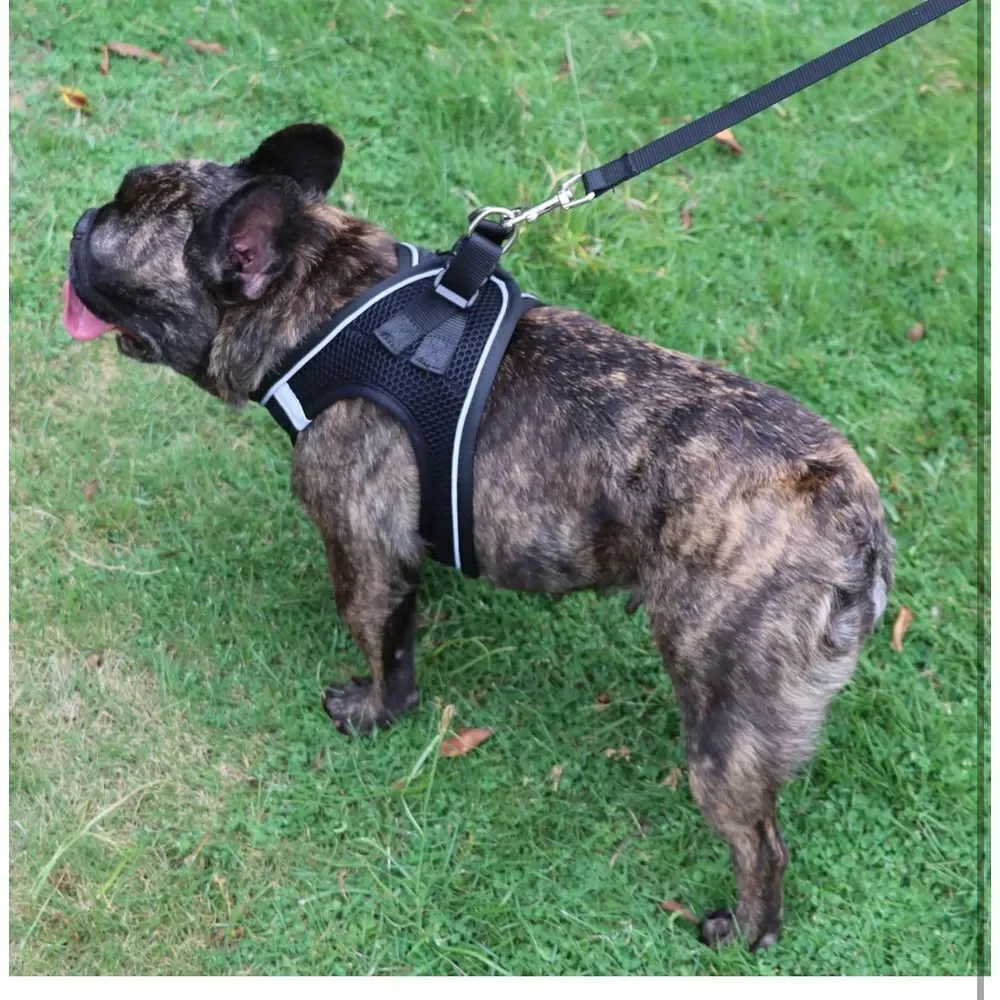 Dog Harness Vest‎ for Small and Medium Dogs No Pull and Leash Set, L